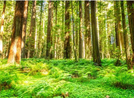 心がモヤモヤする日にやわらかい光が差し込む風景